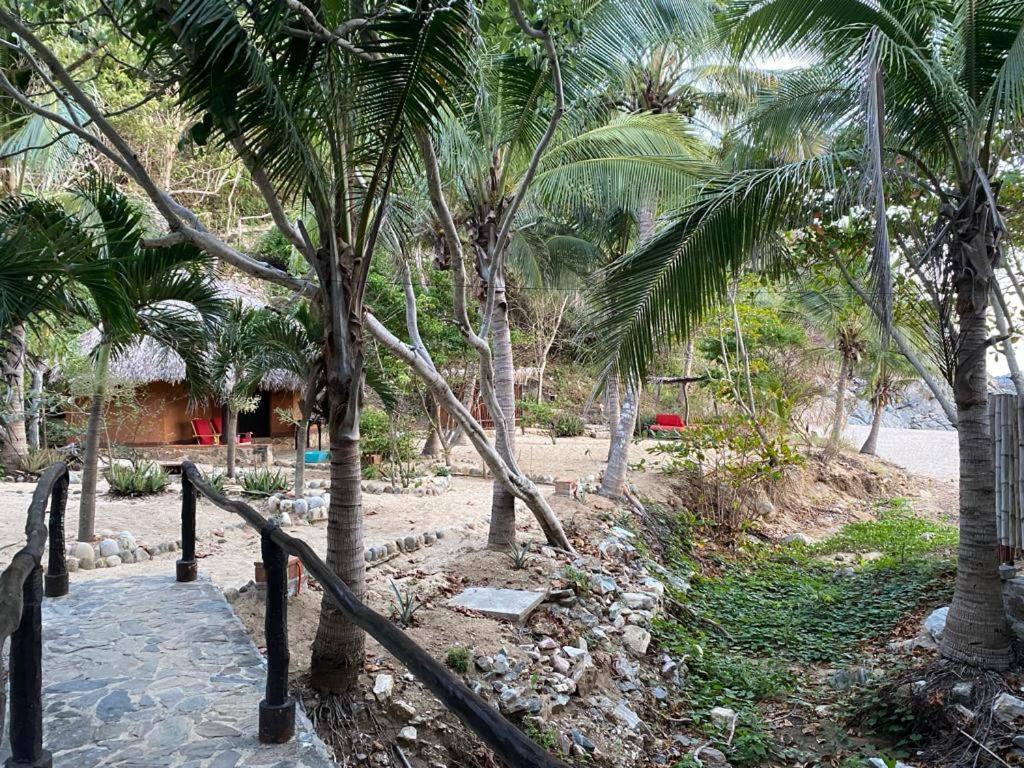 Hotel Bahia De La Luna Arroyo Cruz Exteriör bild