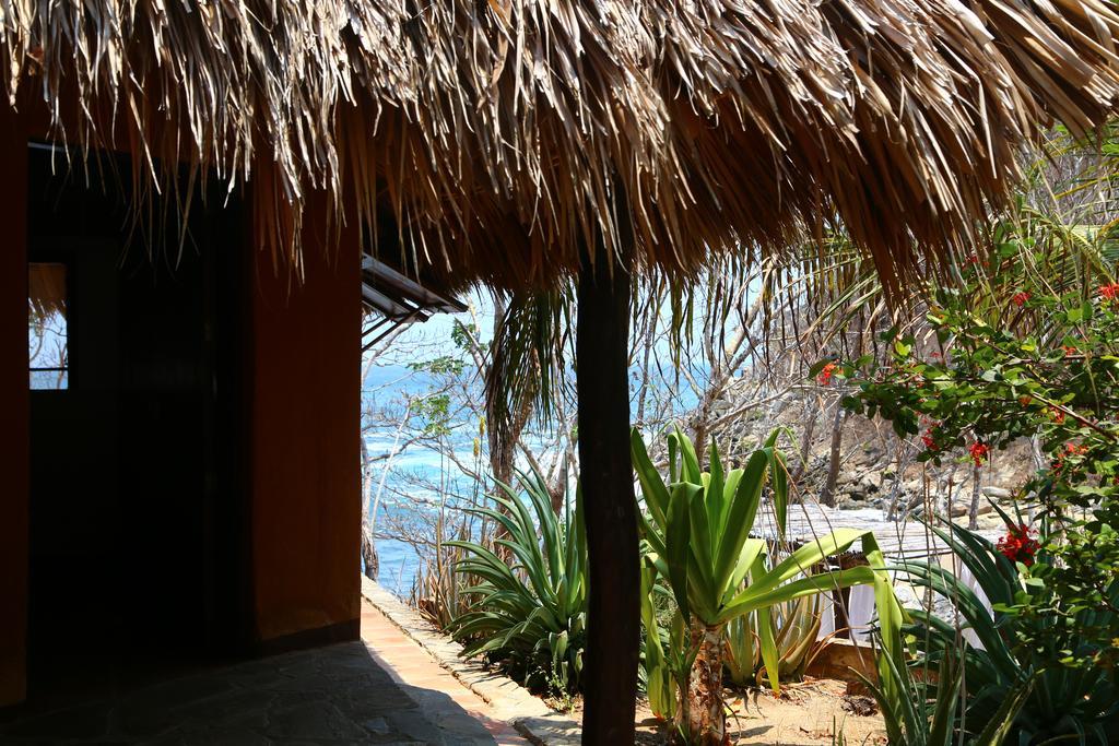 Hotel Bahia De La Luna Arroyo Cruz Exteriör bild